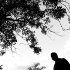 36 Peter silhouette.jpg